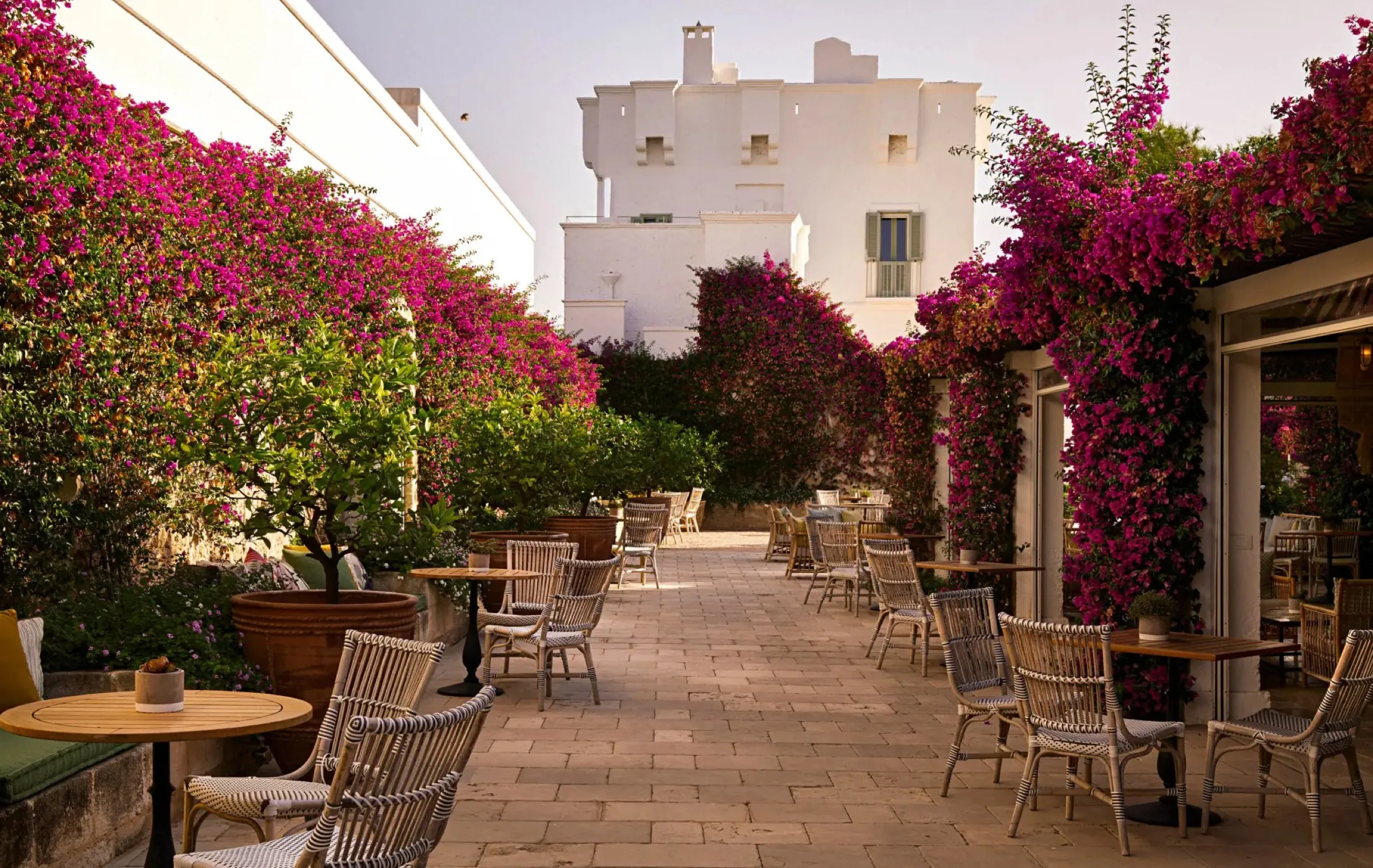 Masseria Torre Maizza: the Bougainvillea Bar and white masseria arches