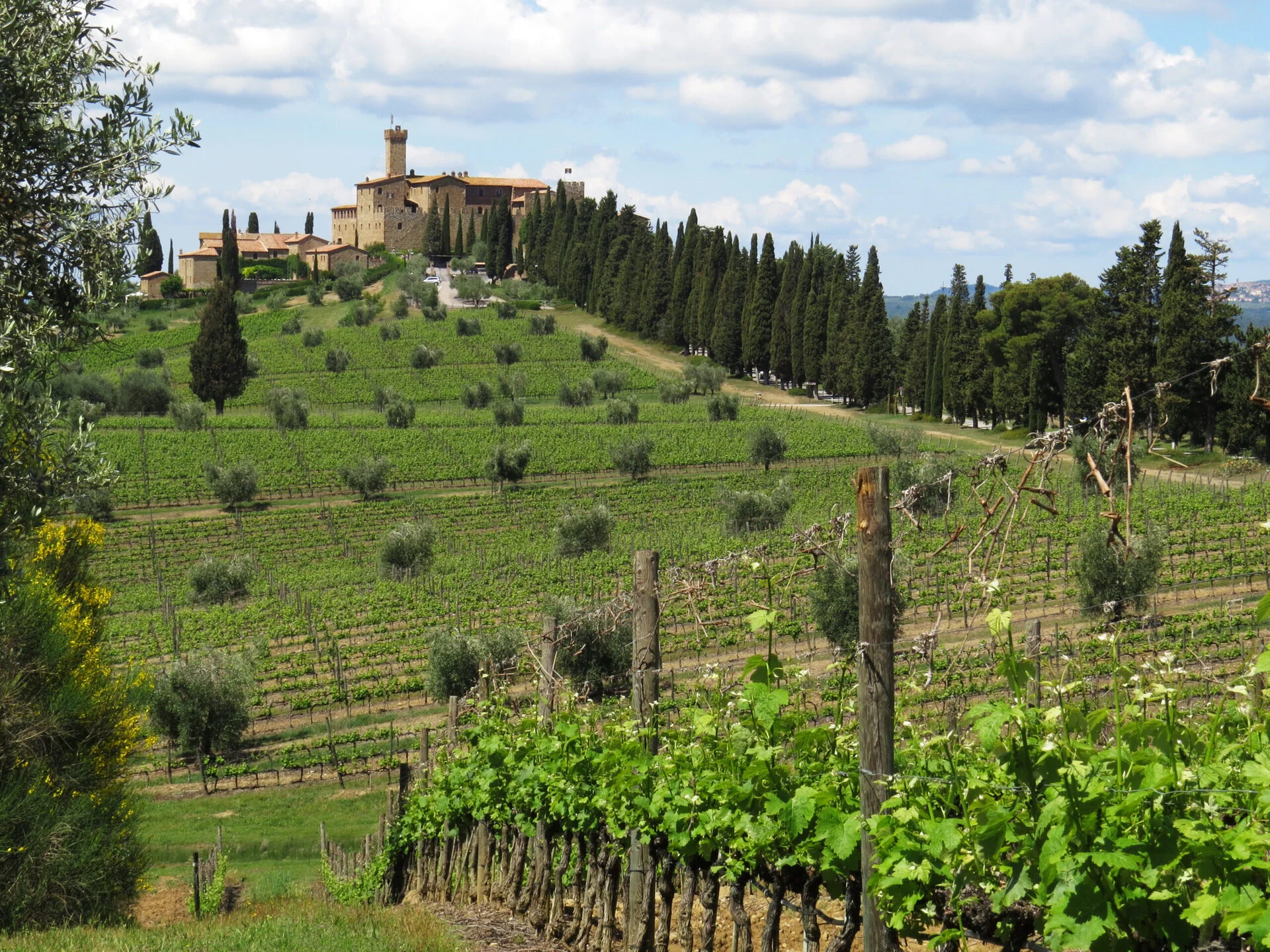 Castello Banfi at Poggio alle Mura: the castle above Brunello vineyards